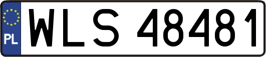 WLS48481