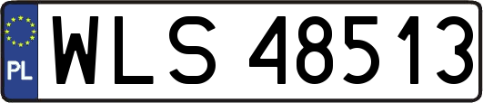 WLS48513