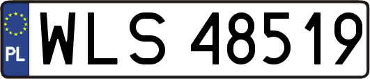 WLS48519