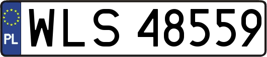 WLS48559