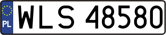 WLS48580