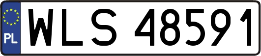 WLS48591