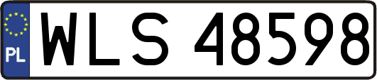 WLS48598