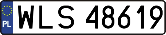 WLS48619