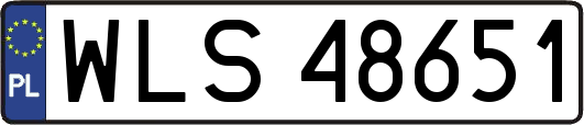 WLS48651