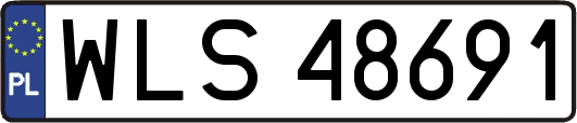 WLS48691