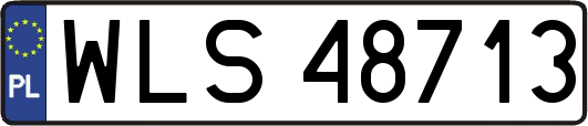 WLS48713