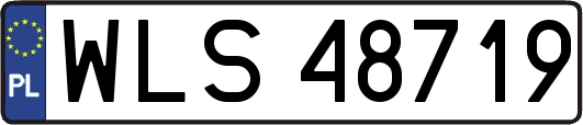 WLS48719