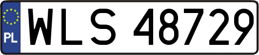 WLS48729