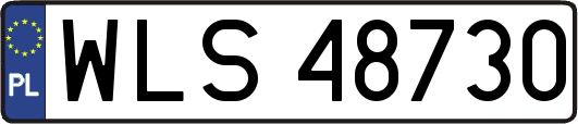 WLS48730