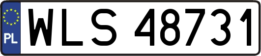 WLS48731