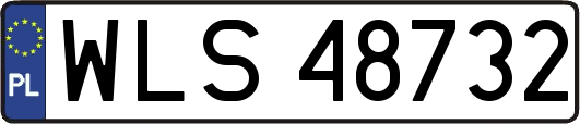 WLS48732