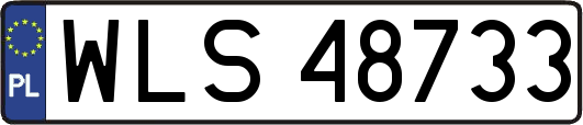 WLS48733