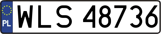 WLS48736