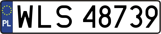 WLS48739