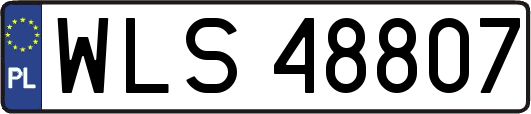 WLS48807