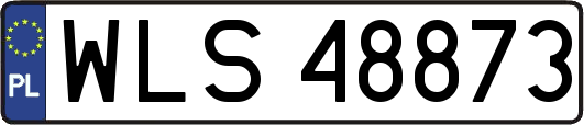 WLS48873