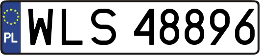 WLS48896