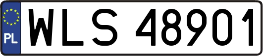 WLS48901