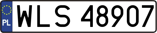 WLS48907