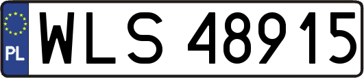 WLS48915