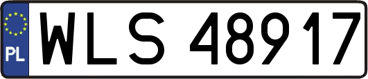 WLS48917