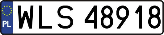 WLS48918