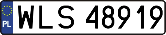 WLS48919