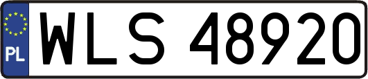 WLS48920