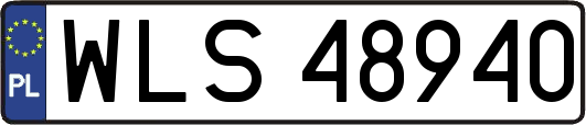 WLS48940