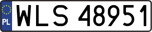WLS48951