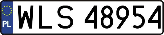 WLS48954