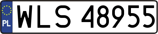 WLS48955