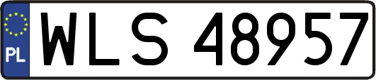 WLS48957