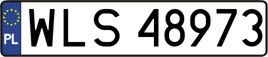 WLS48973