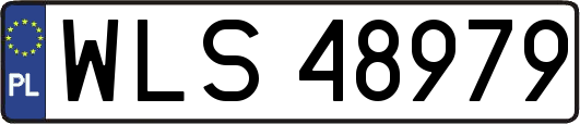 WLS48979