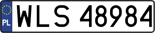 WLS48984