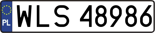 WLS48986