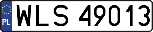 WLS49013