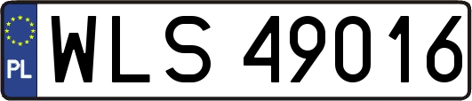 WLS49016