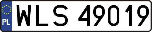 WLS49019