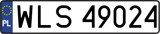 WLS49024