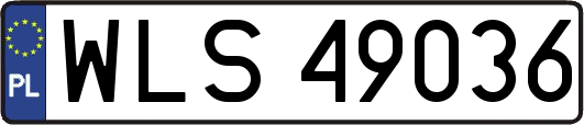 WLS49036