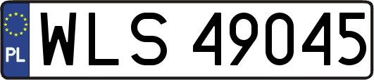 WLS49045