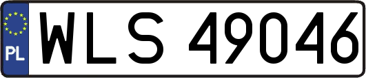 WLS49046