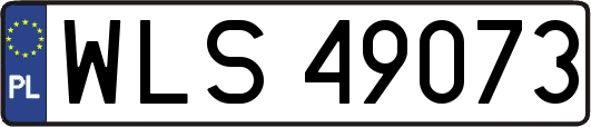 WLS49073