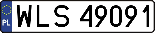 WLS49091