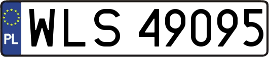 WLS49095