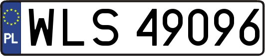 WLS49096