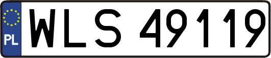 WLS49119